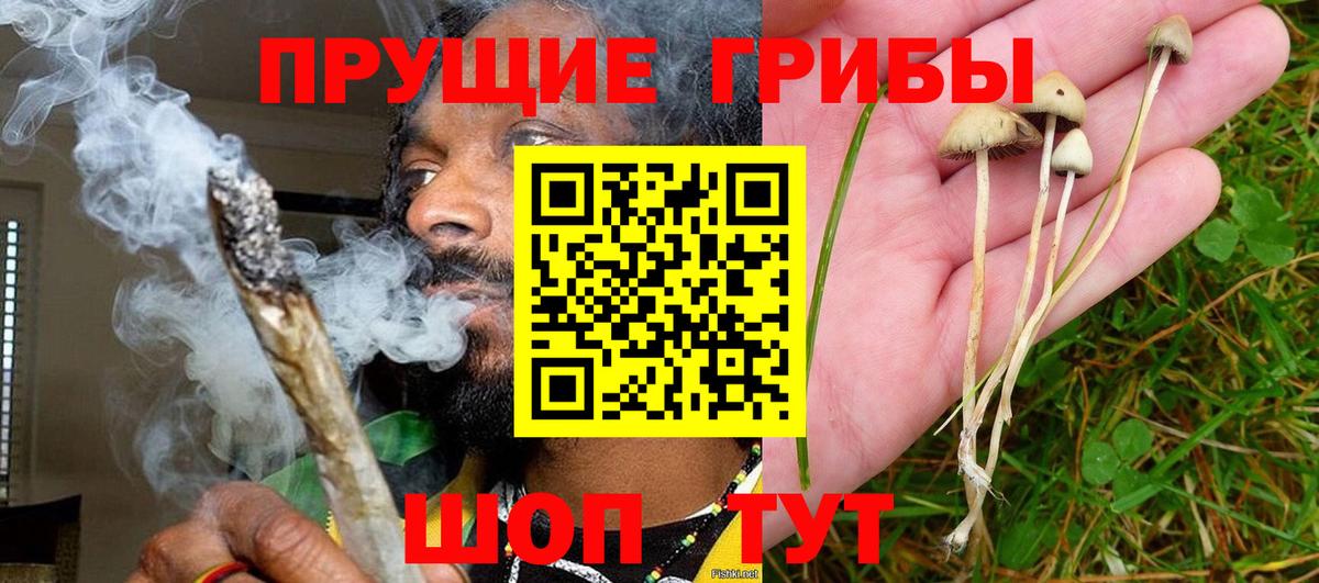 Туапсе  Галлюциногенные грибы ЛСД  Галлюциногенные грибы мицелий  Вход с VPN 